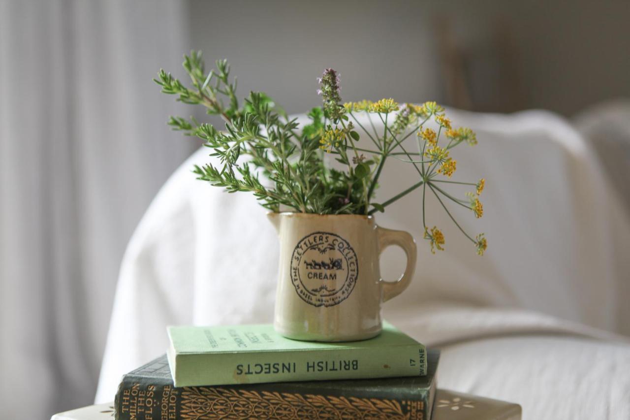 Tamahere Cedar Park Bed & Breakfast מראה חיצוני תמונה