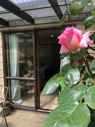 Tamahere Cedar Park Bed & Breakfast מראה חיצוני תמונה